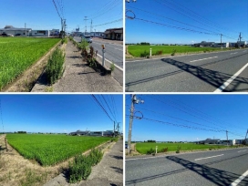 現地･前面道路